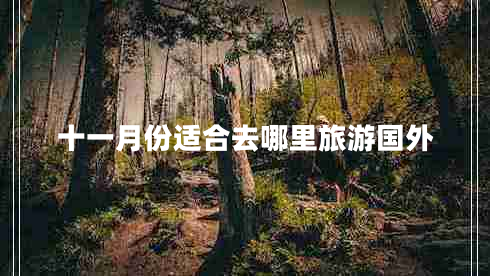 十一月份适合去哪里旅游国外