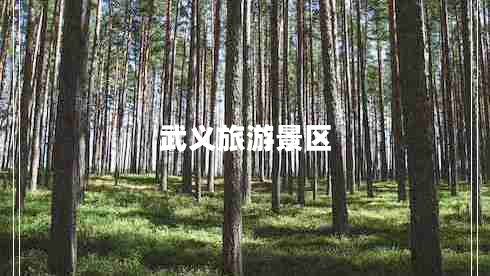 武义旅游景区