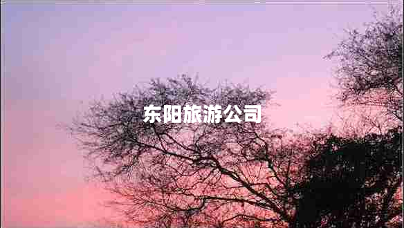 东阳旅游公司
