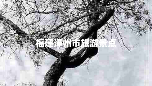 福建漳州市旅游景点 福建漳州市旅游景点