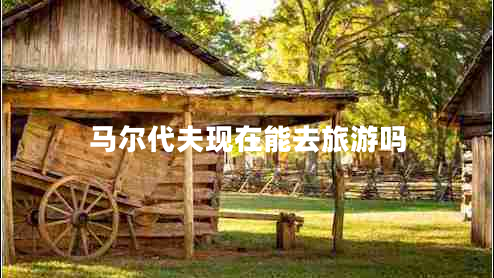马尔代夫现在能去旅游吗