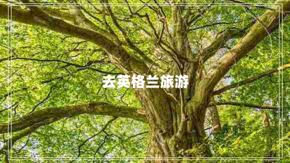 去英格兰旅游