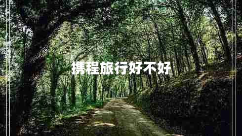 携程旅行好不好
