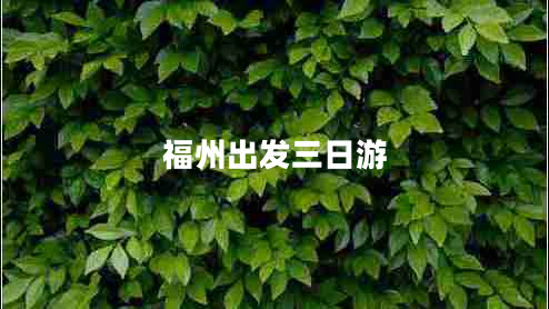 福州出发三日游