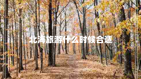 北海旅游什么时候合适