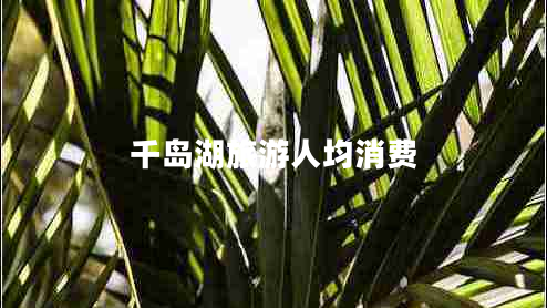 千岛湖旅游人均消费