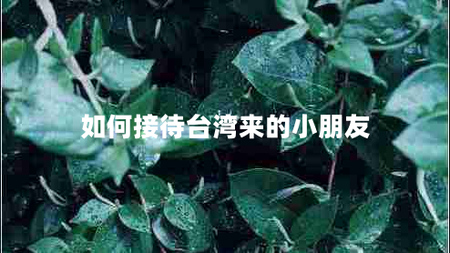 如何接待台湾来的小朋友
