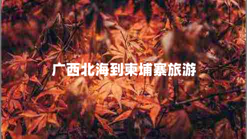 广西北海到柬埔寨旅游