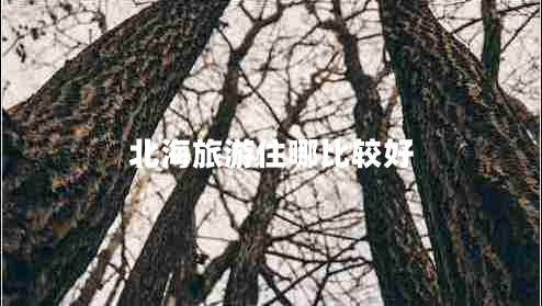 北海旅游住哪比较好