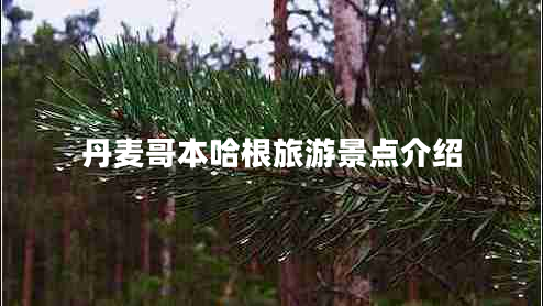 丹麦哥本哈根旅游景点介绍