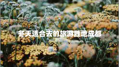 冬天适合去的旅游胜地成都