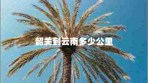 韶关到云南多少公里