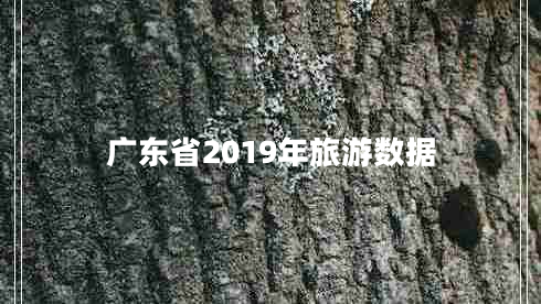 广东省2019年旅游数据