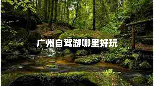 广州自驾游哪里好玩