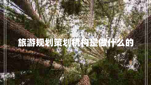 旅游规划策划机构是做什么的