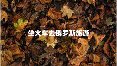 坐火车去俄罗斯旅游