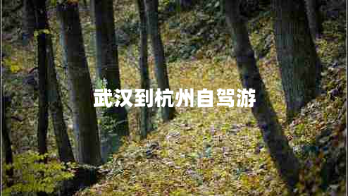武汉到杭州自驾游