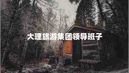 大理旅游集团领导班子
