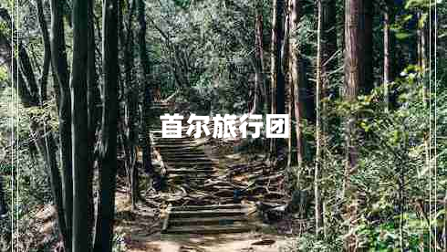 首尔旅行团