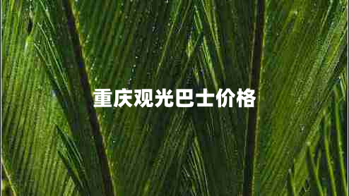 重庆观光巴士价格