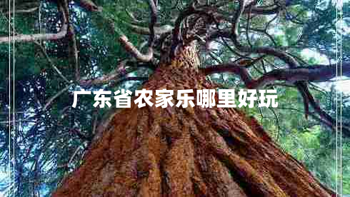 广东省农家乐哪里好玩