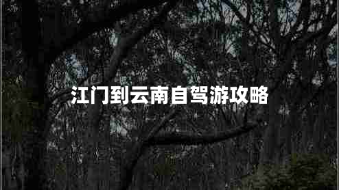 江门到云南自驾游攻略