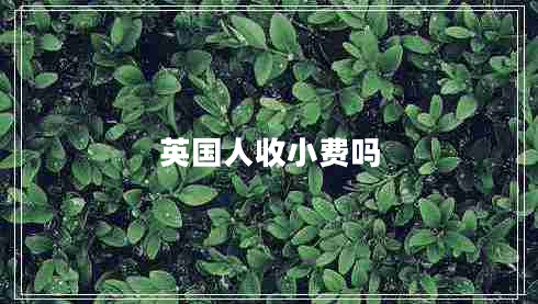 英国人收小费吗