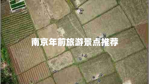 南京年前旅游景点推荐