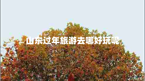 山东过年旅游去哪好玩呢