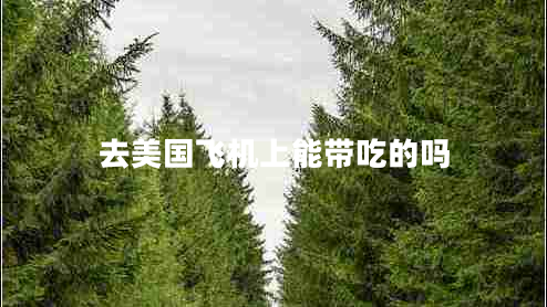 去美国飞机上能带吃的吗
