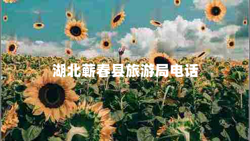 湖北蕲春县旅游局电话