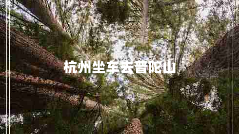 杭州坐车去普陀山