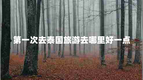 第一次去泰国旅游去哪里好一点