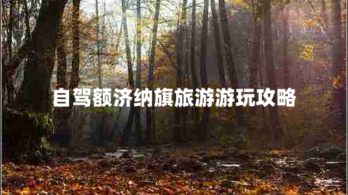 自驾额济纳旗旅游游玩攻略 自驾额济纳旗旅游游玩攻略