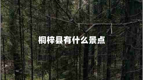 桐梓县有什么景点
