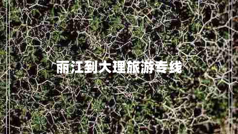 丽江到大理旅游专线