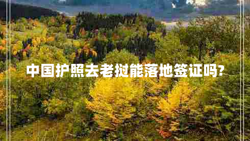 中国护照去老挝能落地签证吗?
