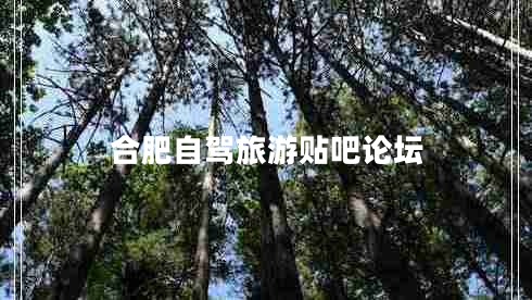 合肥自驾旅游贴吧论坛