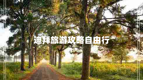 迪拜旅游攻略自由行