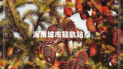海南城市轻轨站点