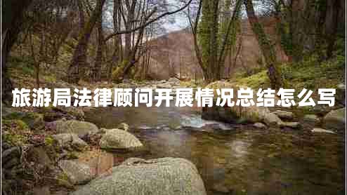 旅游局法律顾问开展情况总结怎么写