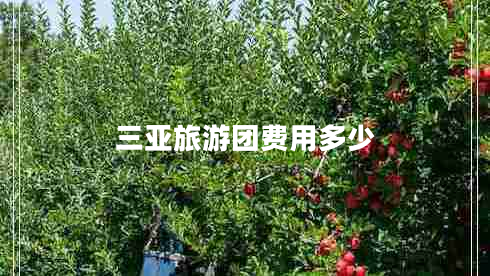 三亚旅游团费用多少