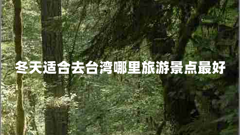 冬天适合去台湾哪里旅游景点最好