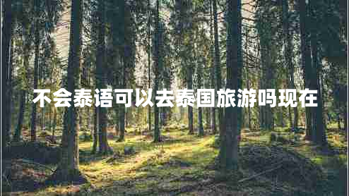 不会泰语可以去泰国旅游吗现在