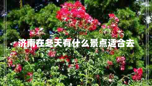 济南在冬天有什么景点适合去
