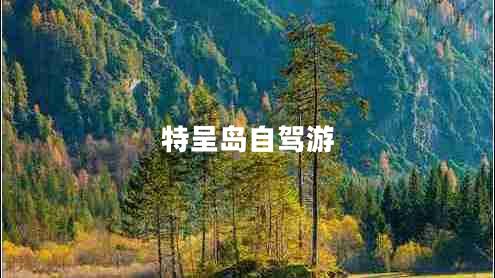 特呈岛自驾游