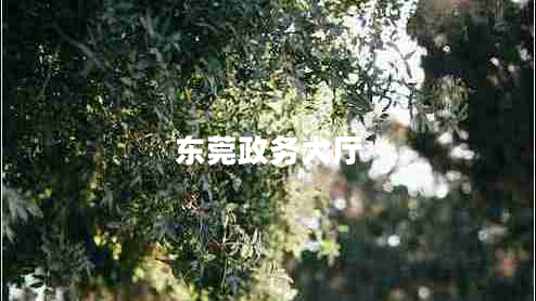 东莞政务大厅