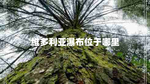 维多利亚瀑布位于哪里