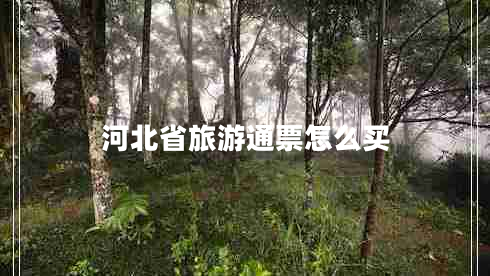 河北省旅游通票怎么买