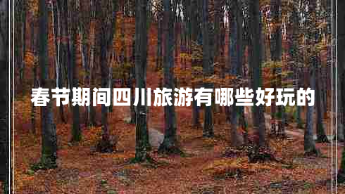 春节期间四川旅游有哪些好玩的
